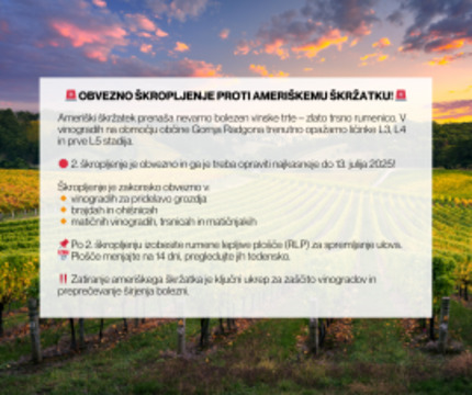 Obvezno 2. škropljenje proti ameriškemu škržatku na območju Občine Gornja Radgona